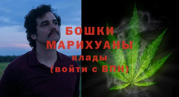 первитин Богородицк
