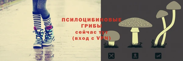 первитин Богородицк