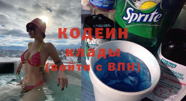 МДПВ Бородино