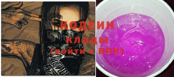 МДПВ Бородино
