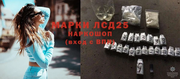 МДПВ Бородино