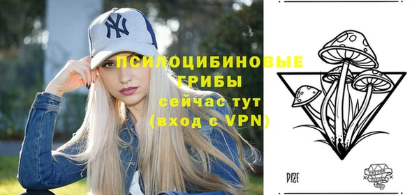 синтетический гашиш Богданович