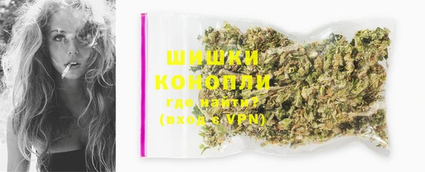 первитин Богородицк